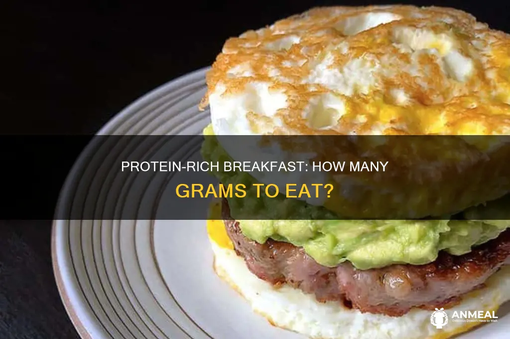 how many g of protein for breakfast