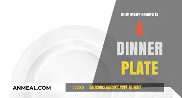 Understanding Dinner Plate Weight: How Many Grams Does It Weigh?