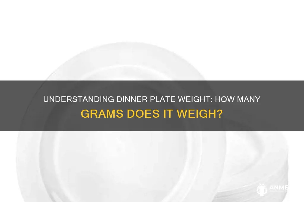how many grams is a dinner plate