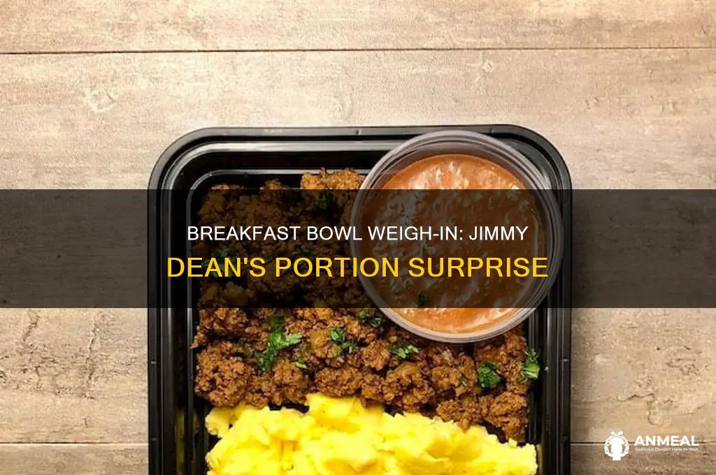 how many grams is one jimmy dean