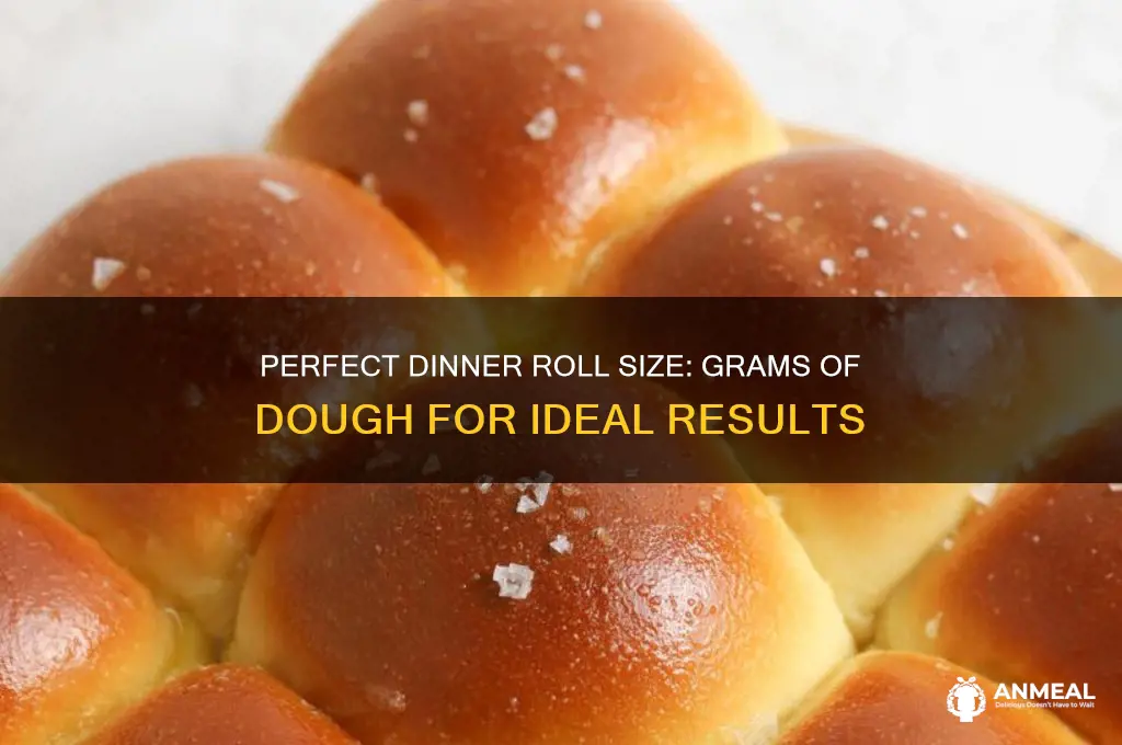how many grams of dough for a dinner roll