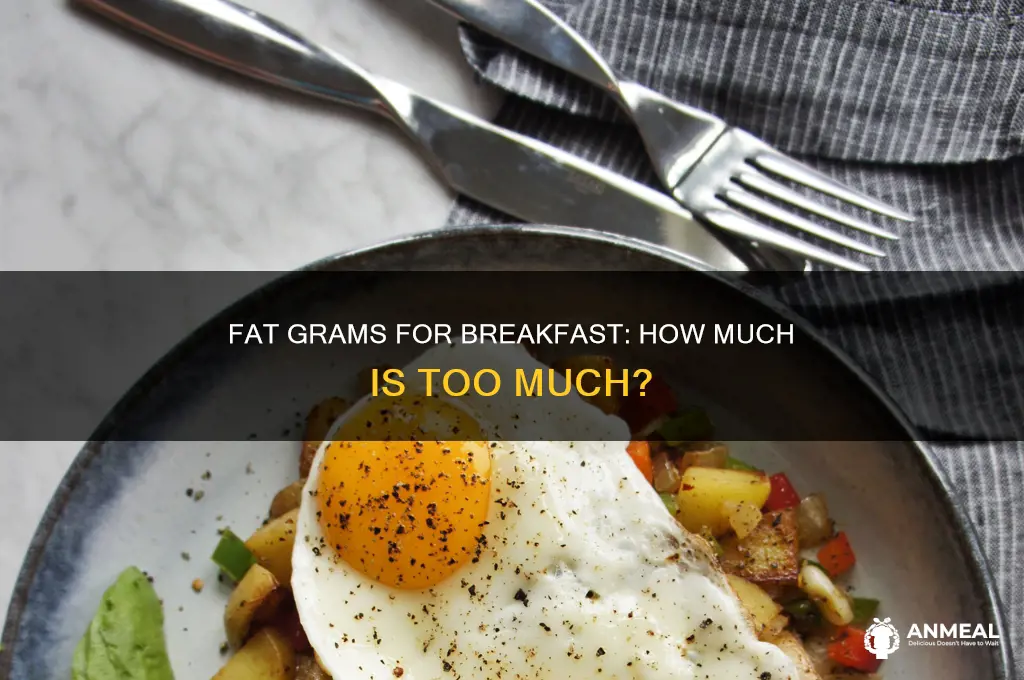 how many grams of fat for breakfast