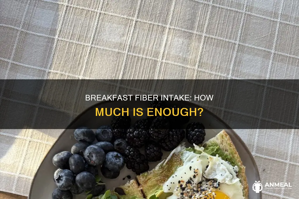 how many grams of fiber for breakfast