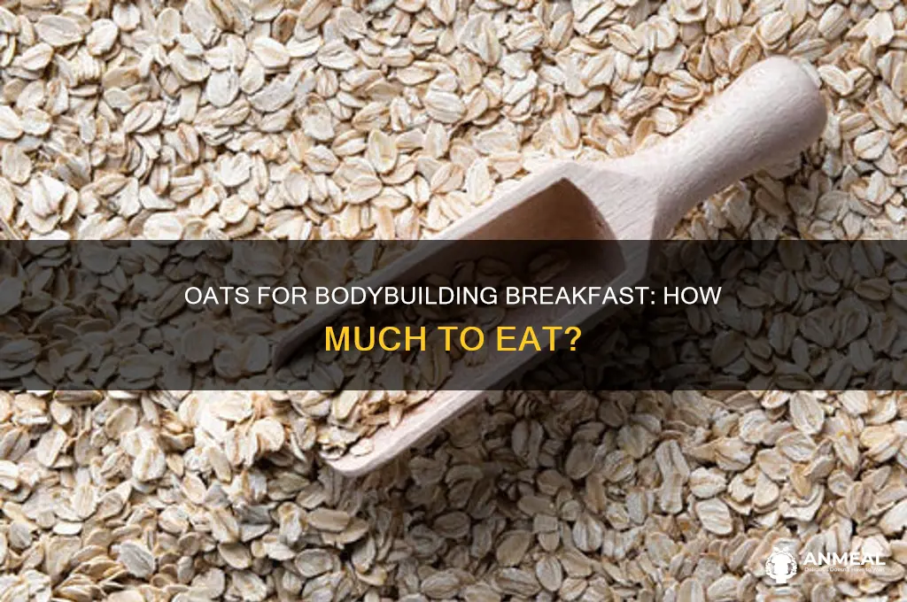 how many grams of oats for breakfast bodybuilding