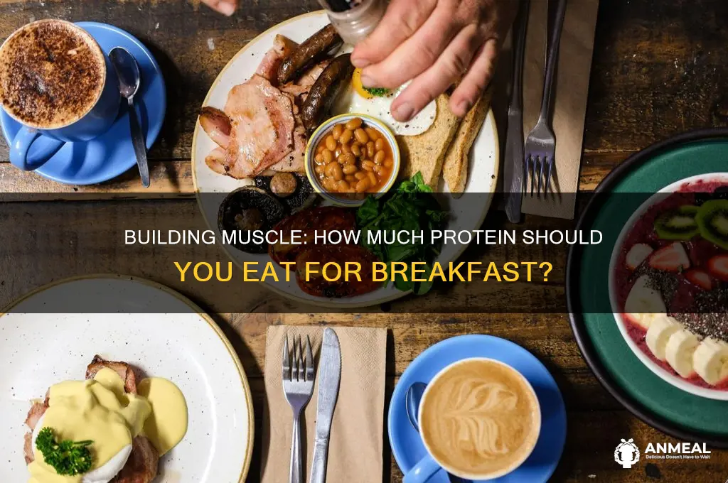 how many grams of protein for breakfast bodybuilding