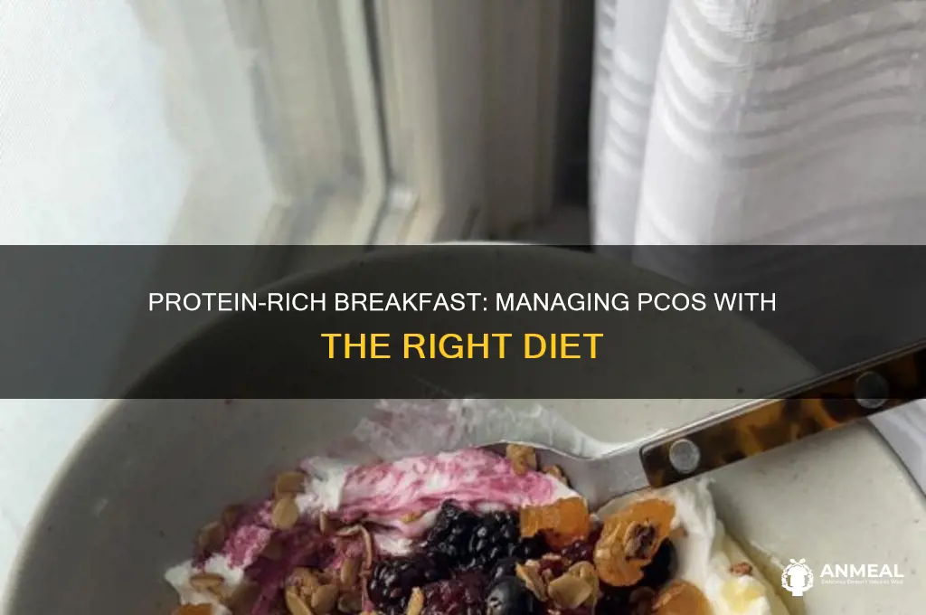how many grams of protein for breakfast pcos