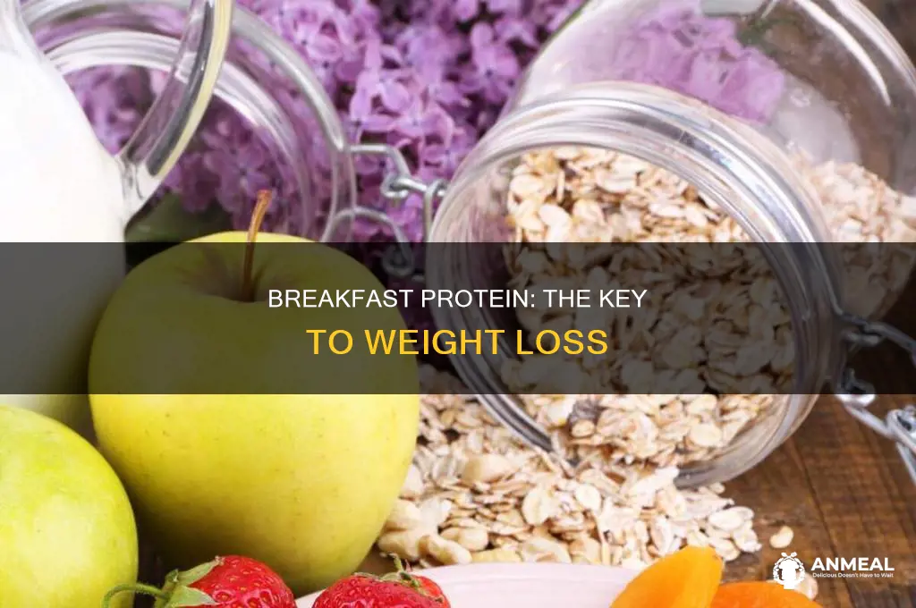 how many grams of protein for breakfast to lose weight