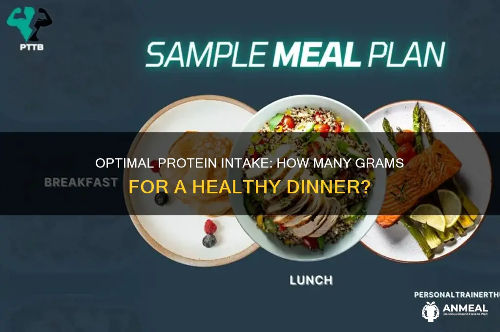 how many grams of protein for dinner
