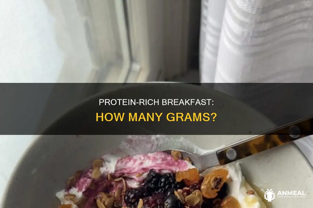 how many grams of protein in a high protein breakfast