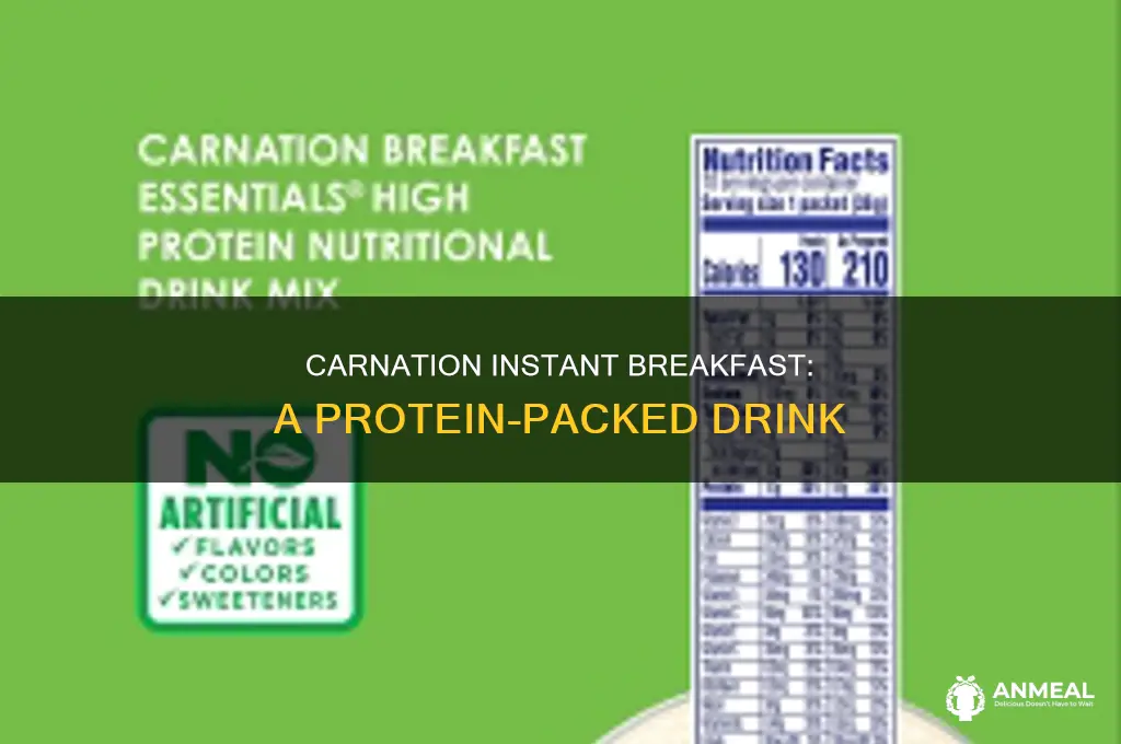 how many grams of protein in carnation instant breakfast
