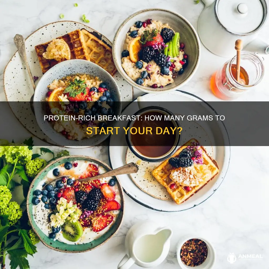 how many grams of protein should you have for breakfast