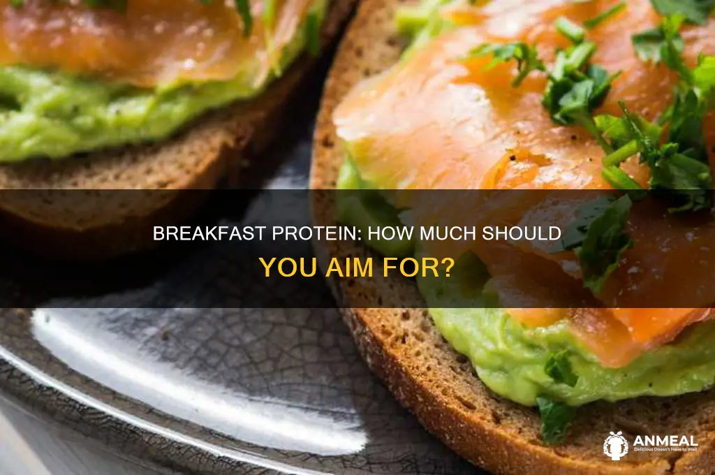 how many grams of proteinshoudl you get in for breakfast