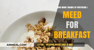 Protein-Rich Breakfast: How Many Grams Do You Need?