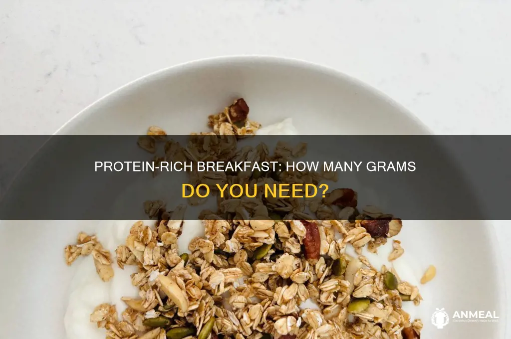 how many grams of protrekn i meed for breakfast