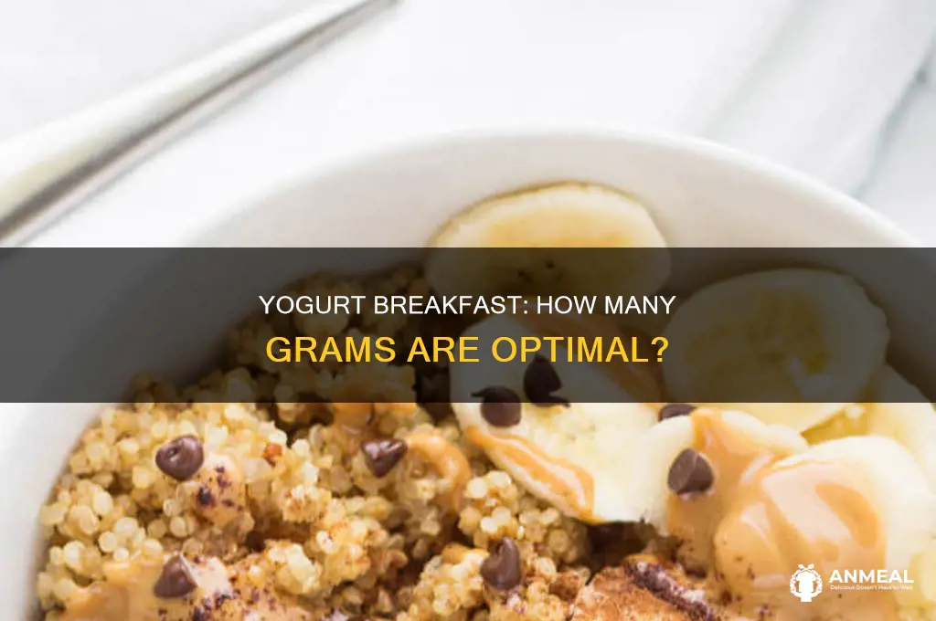 how many grams of yogurt for breakfast