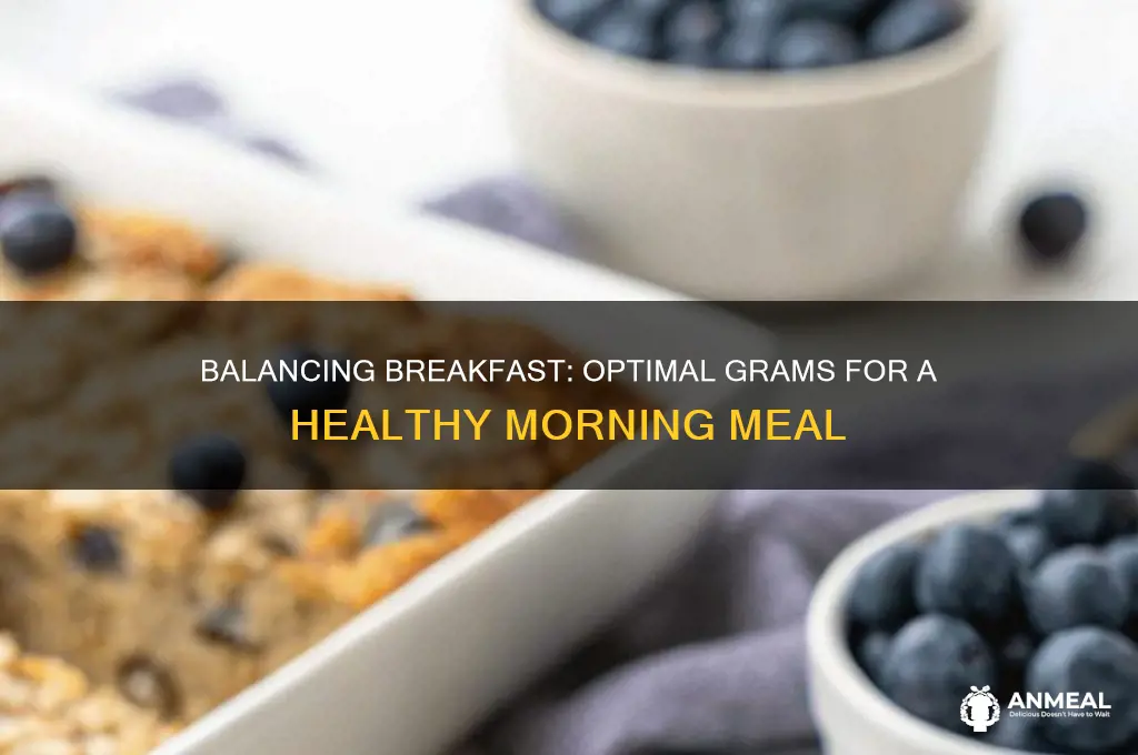 how many grams per breakfast
