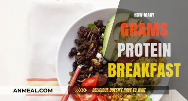 Protein-Packed Breakfast: How Many Grams Do You Really Need?