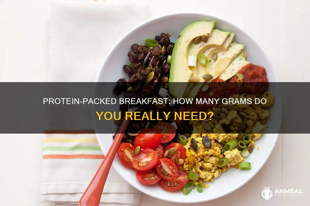 how many grams protein breakfast