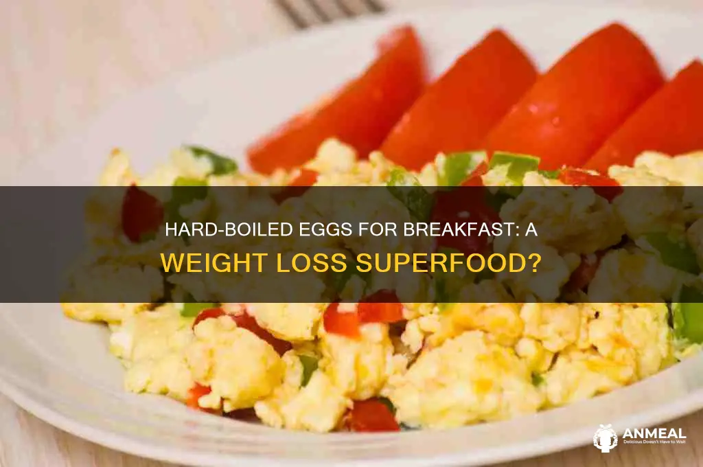 how many hard boiled eggs for breakfast to lose weight