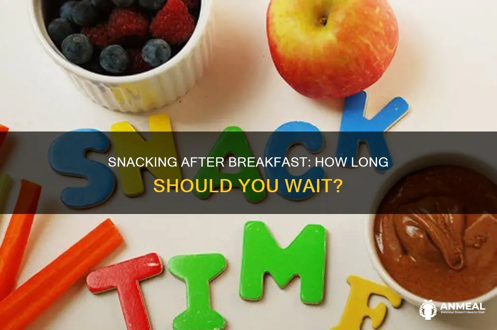 how many hours after breakfast should you have a snack