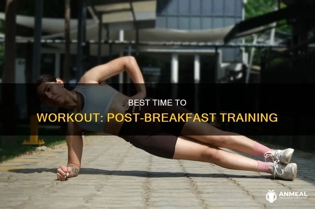 how many hours after breakfast should you workout