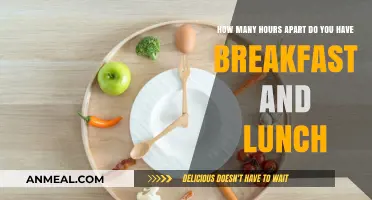 Meal Timing: Breakfast to Lunch Interval