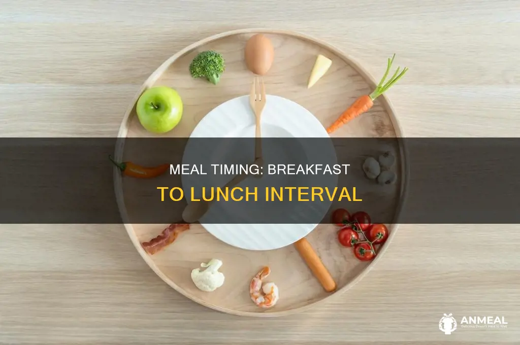 how many hours apart do you have breakfast and lunch