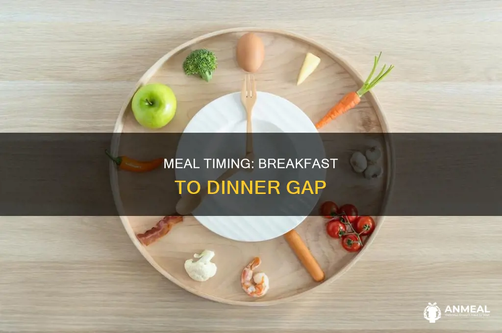 how many hours between breakfast and dinner