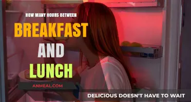 Ideal Time Gap for Breakfast and Lunch