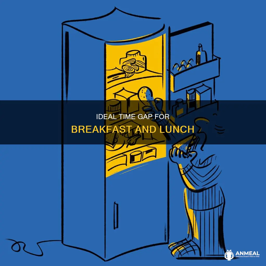 how many hours between breakfast and lunch