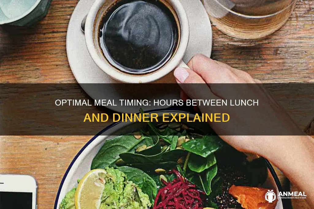 how many hours between lunch and dinner