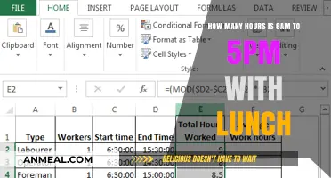 Calculating Work Hours: 8 AM to 5 PM with Lunch Break Included