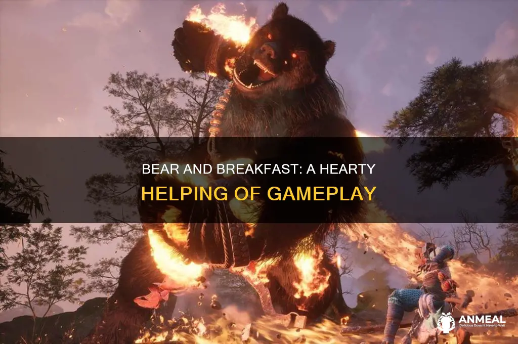 how many hours is bear and breakfast