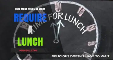 Work Hours and Lunch Breaks: Finding the Perfect Balance