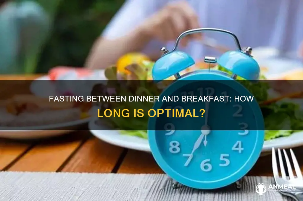 how many hours should you fast between dinner and breakfast