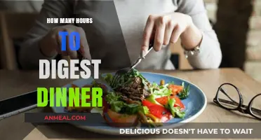Understanding Dinner Digestion: How Long Does Your Body Take?