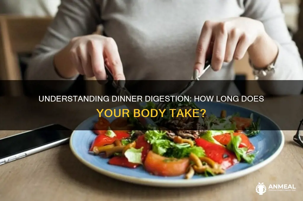 how many hours to digest dinner