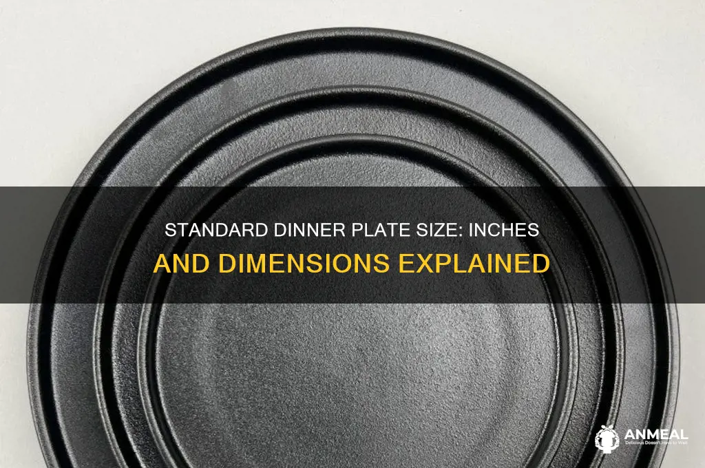 how many inches is a dinner plate