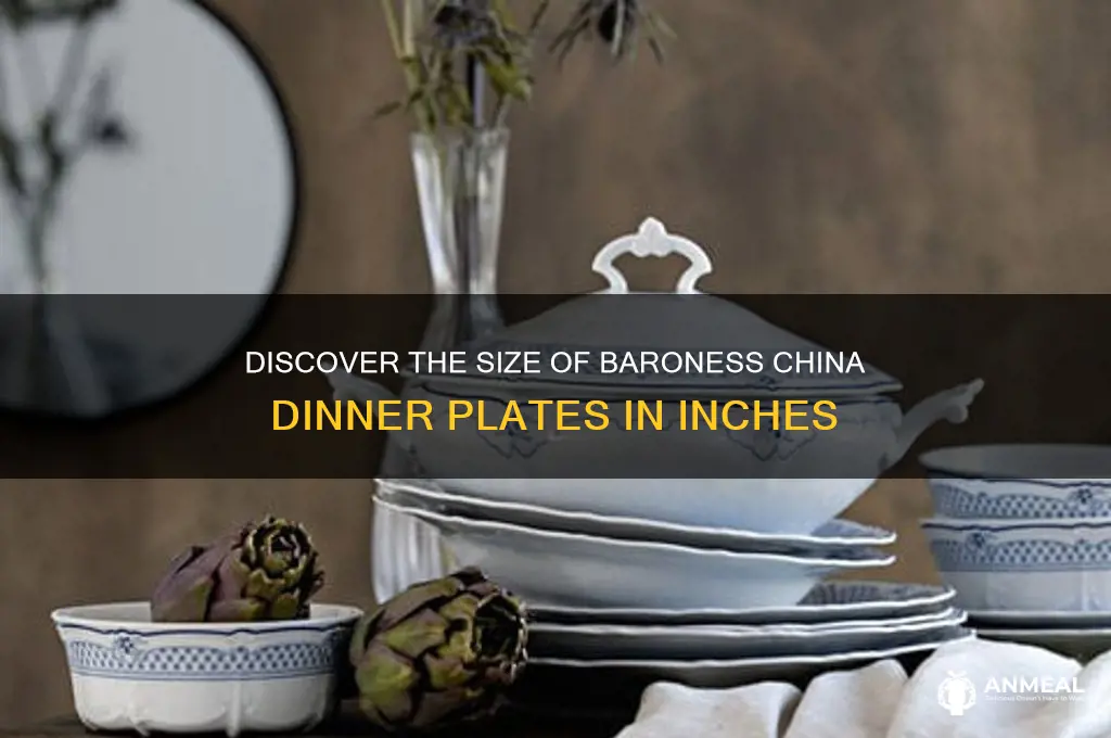 how many inches is baroness china dinner plate