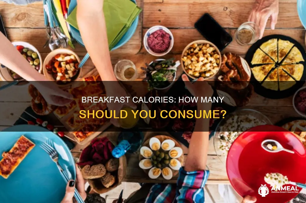 how many kcal should breakfast be