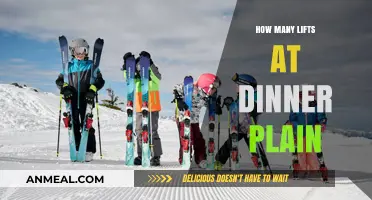 Discover the Number of Lifts at Dinner Plain Ski Resort