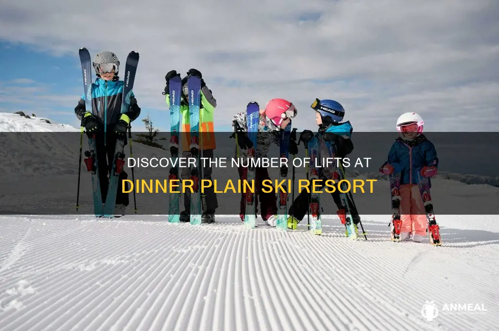 how many lifts at dinner plain