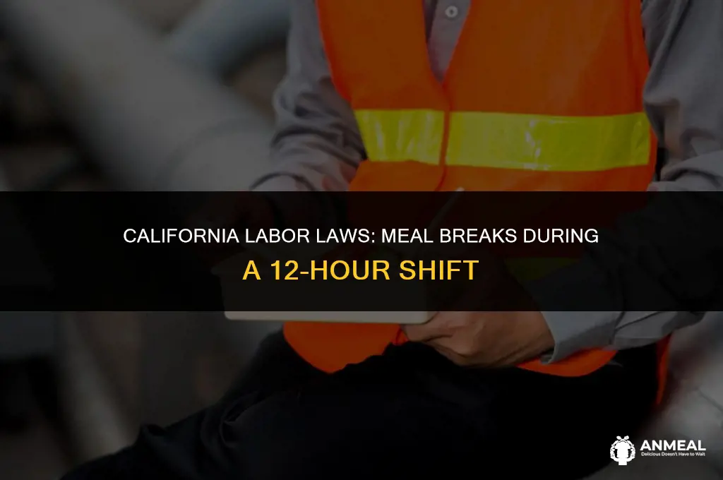 how many lunches in a 12 hour shift in california