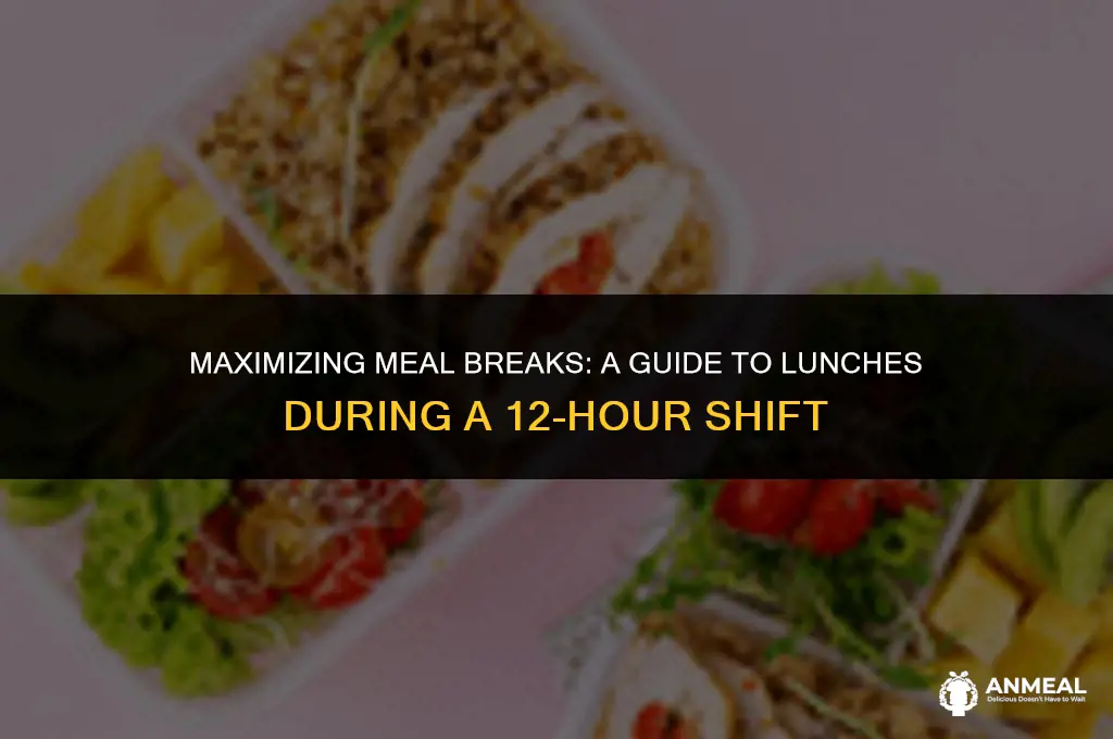 how many lunches in a 12 hour shift