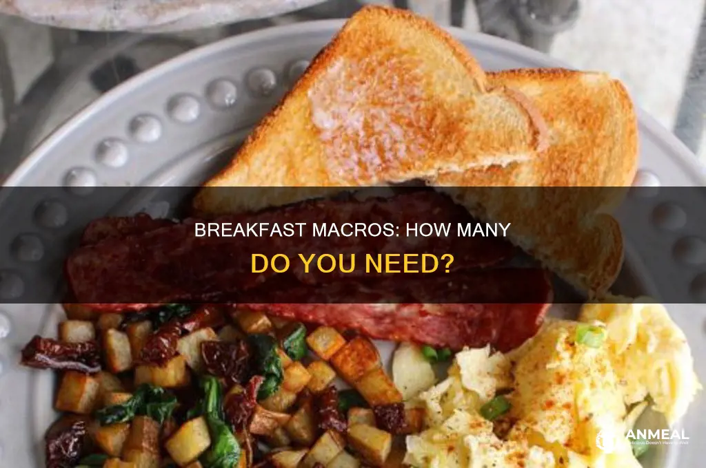 how many macros do i nedd at breakfast