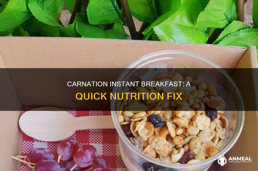 how many packs are in the carnation instant breakfast