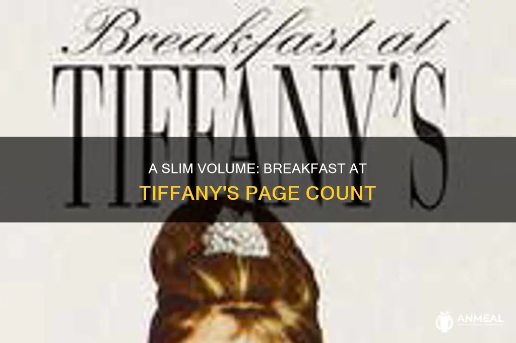 how many pages does breakfast at tiffany have