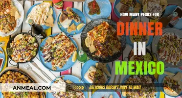 Dining in Mexico: Average Peso Costs for a Delicious Dinner