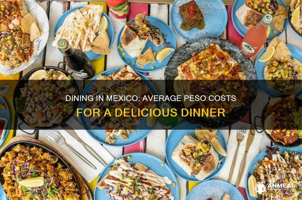 how many pesos for dinner in mexico