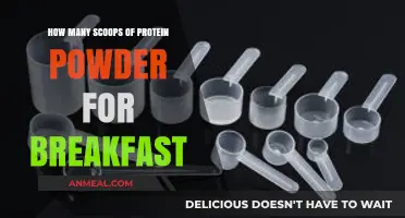 Protein Powder Breakfast: How Many Scoops Are Optimal?